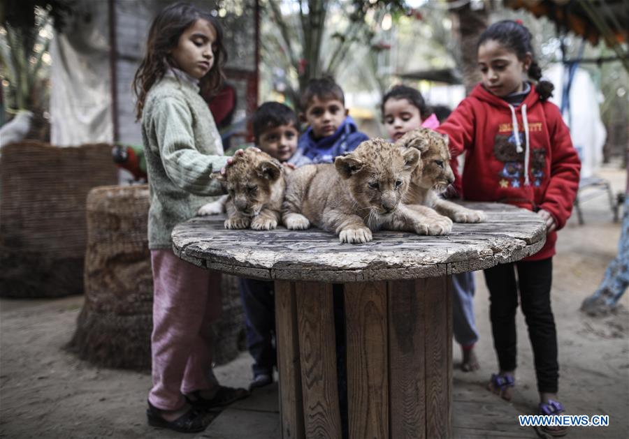 XINHUA PHOTO WEEKLY CHOICES