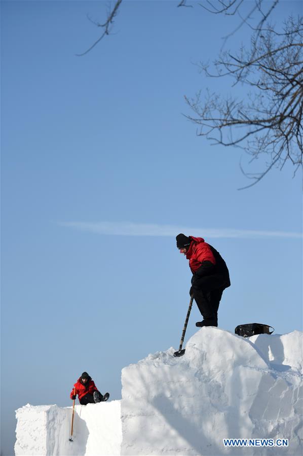 CHINA-HEILONGJIANG-HARBIN-SNOW SCULPTURE-COMPETITION (CN)