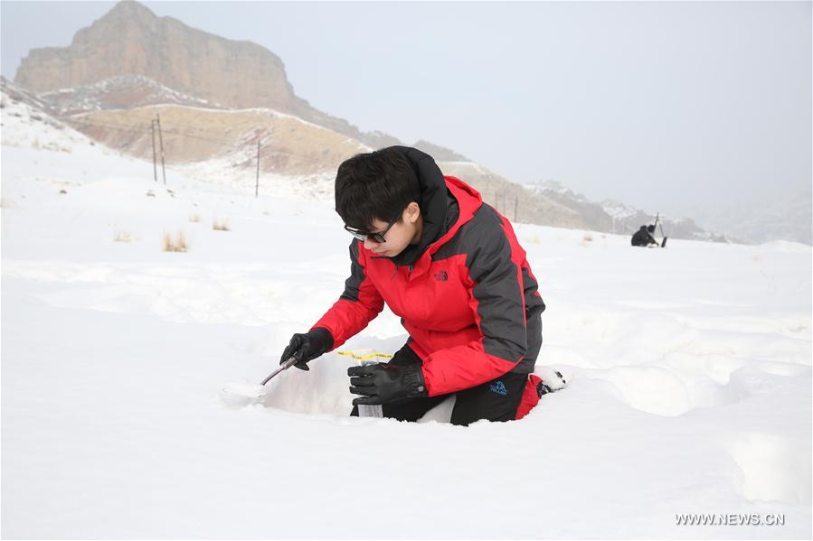 CHINA-XINJIANG-SCIENCE-RESEARCH-SNOW (CN)