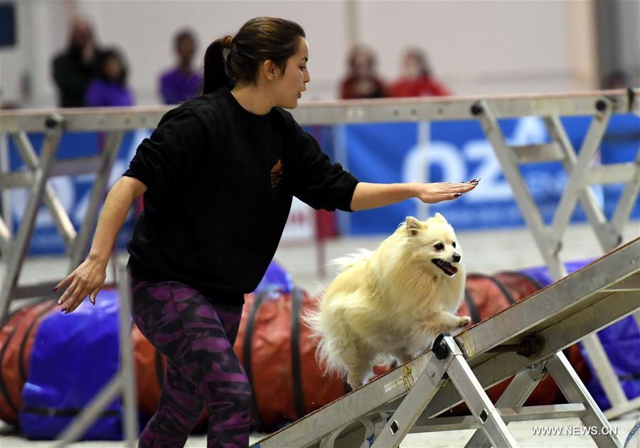 PORTUGAL-LISBON-PET SHOW