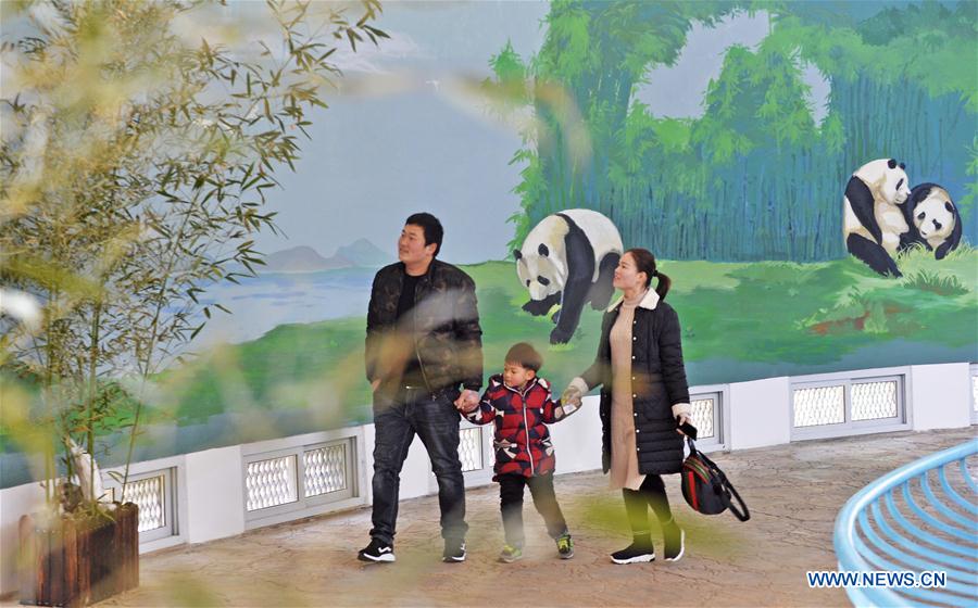 #CHINA-TIANJIN-GIANT PANDA(CN)