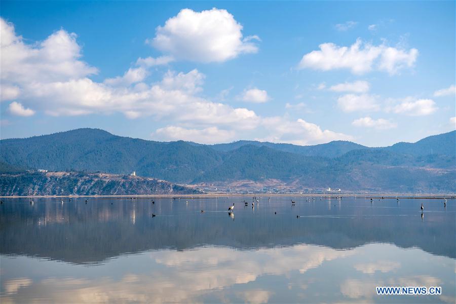 CHINA-YUNNAN-BLACKNECKED CRANE (CN)