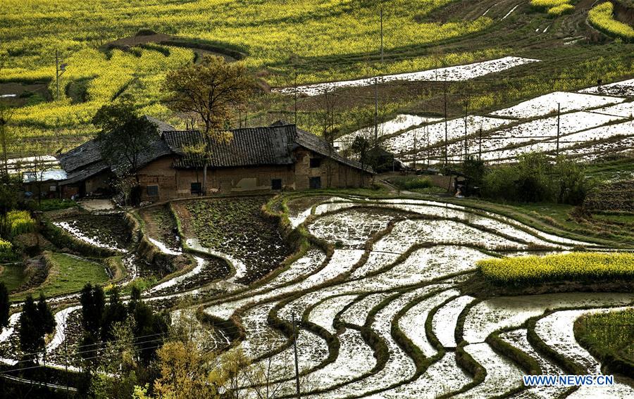 CHINA-SHAANXI-FENGYAN TERRACES-ANCIENT FARMING CULTURE (CN)