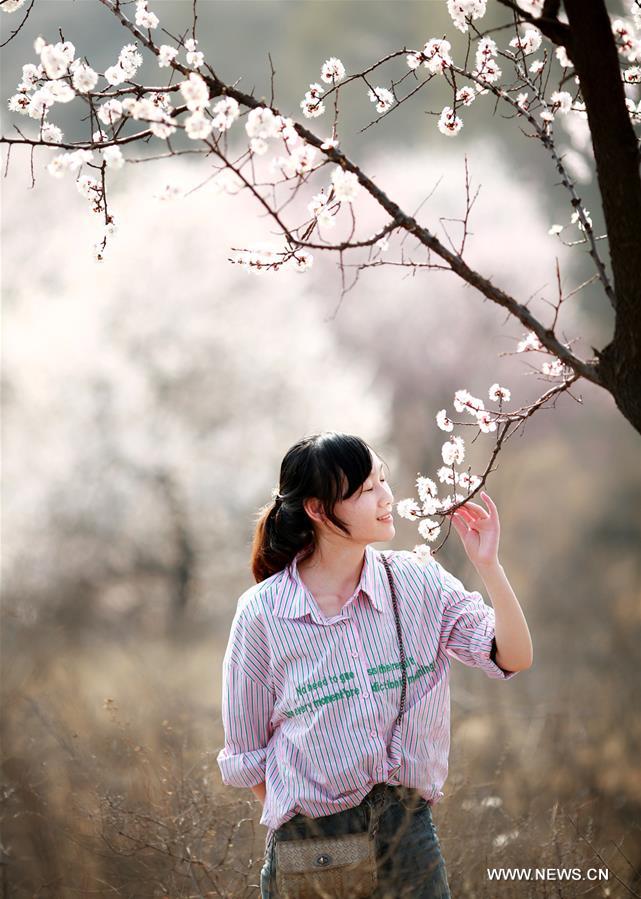 #CHINA-SPRING-SCENERY(CN)