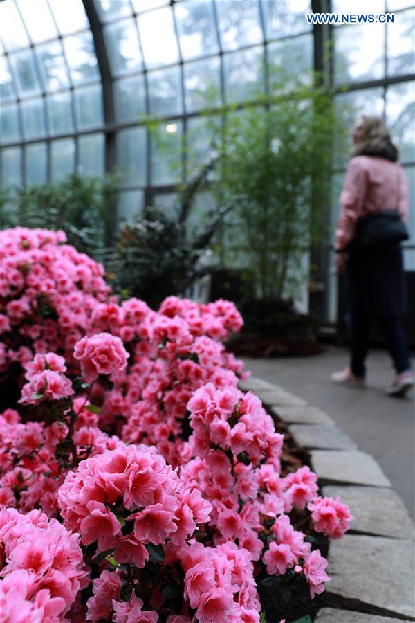 GERMANY-FRANKFURT-FLOWER EXHIBITION