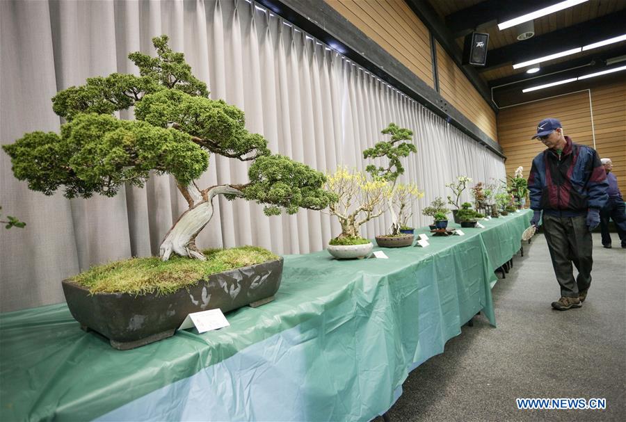 CANADA-VANCOUVER-BONSAI AND FLOWER EXHIBITION