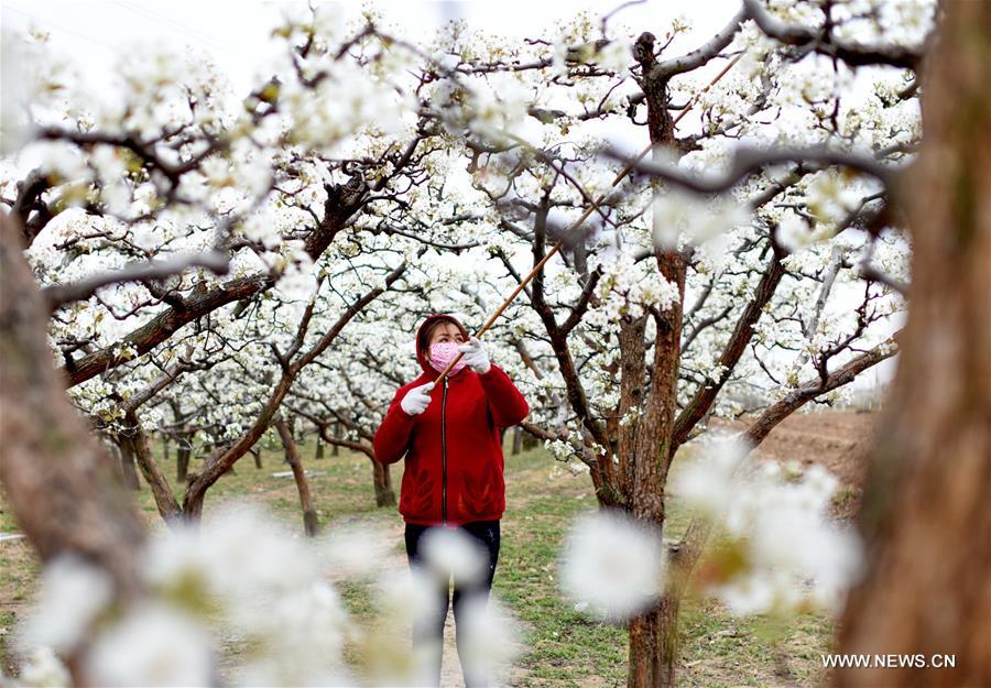 CHINA-SPRING-FARM WORK (CN)