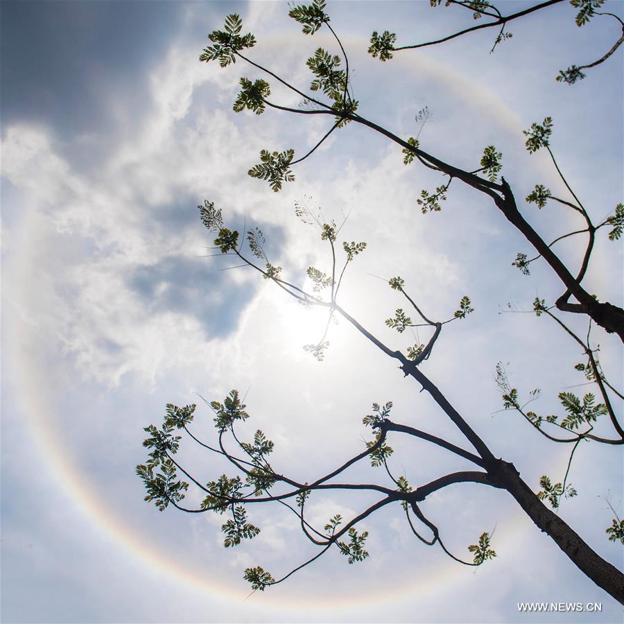 CHINA-KUNMING-SOLAR HALO (CN)