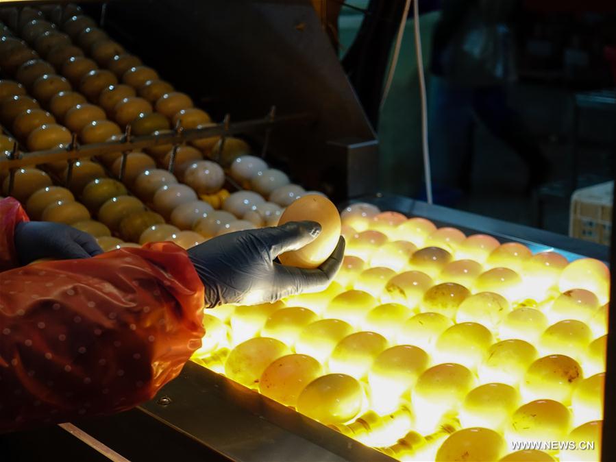 #CHINA-JIANGSU-SALTED DUCK EGGS INDUSTRY (CN)