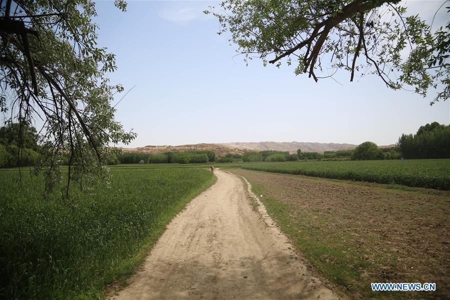 AFGHANISTAN-BALKH-EARTH DAY