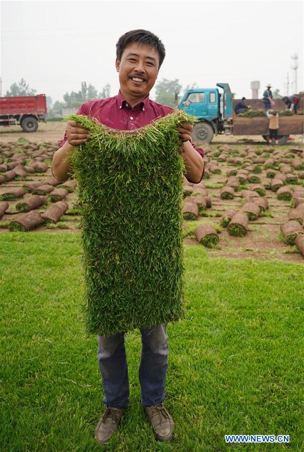 CHINA-XI'AN-RURAL ECONOMY-TURF-BUSINESS (CN)