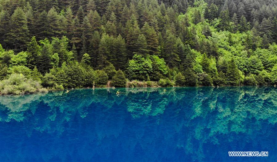 CHINA-SICHUAN-JIUZHAIGOU-SCENERY-EARLY SUMMER (CN)