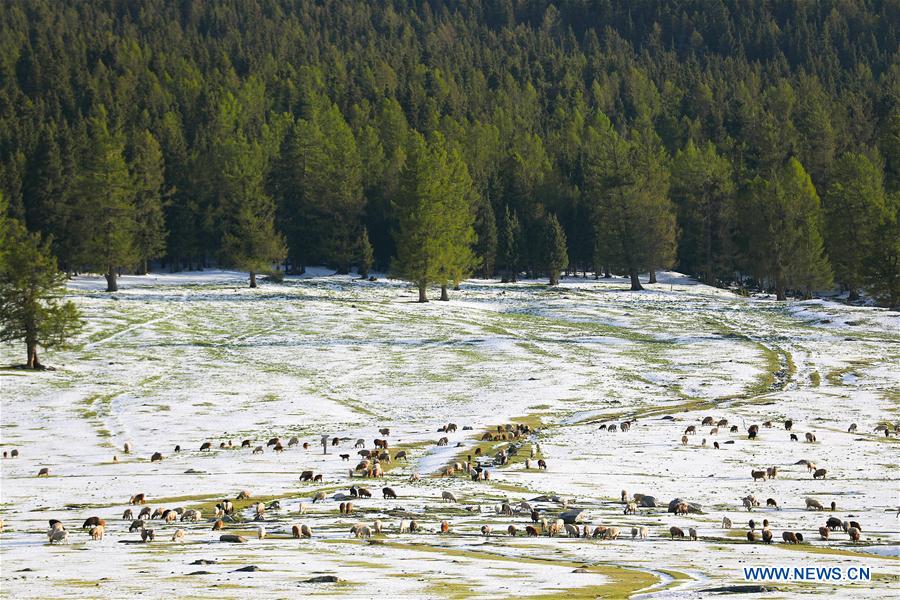 #CHINA-XINJIANG-HAMI-SNOW(CN)