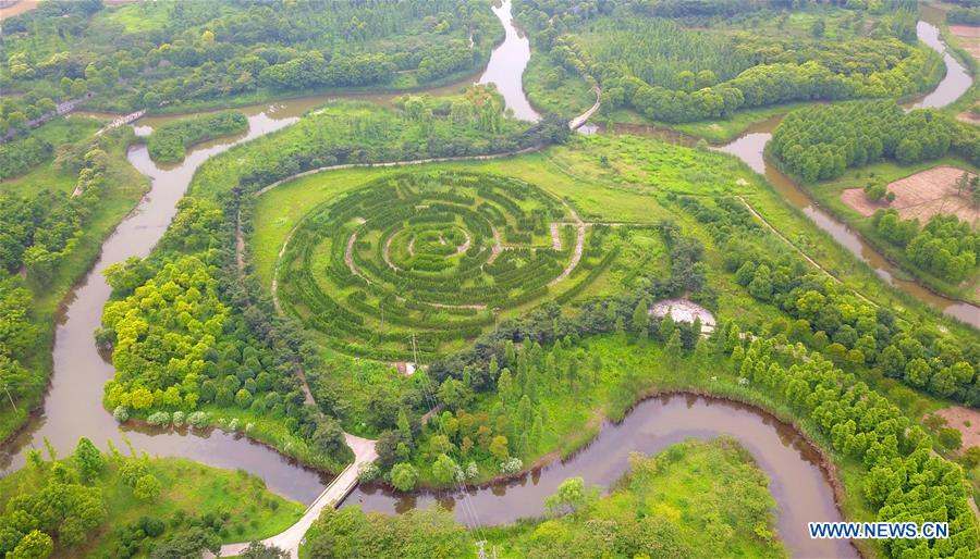 #CHINA-JIANGSU-CHANGQINGSHA ISLAND-SCENERY (CN)