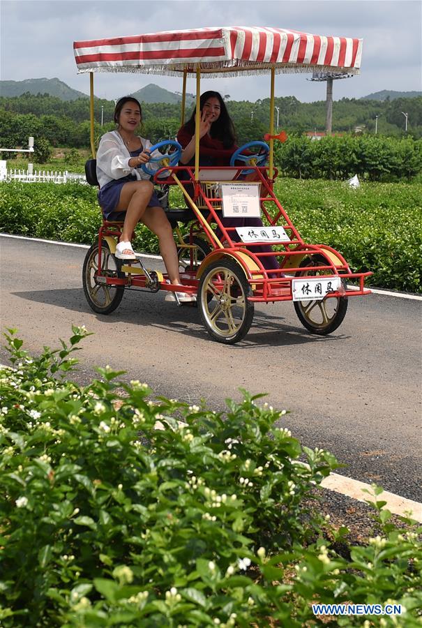 CHINA-GUANGXI-JASMINE FLOWERS (CN)