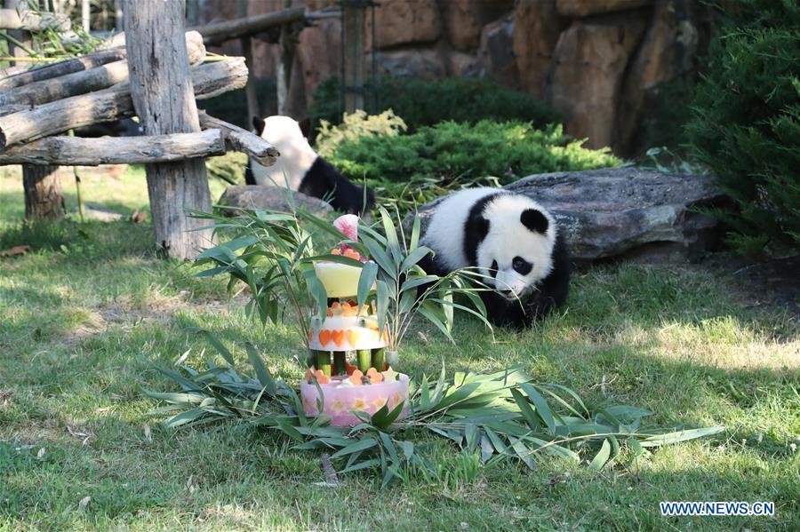 FRANCE-SAINT-AIGNAN-PANDA-ANNIVERSARY