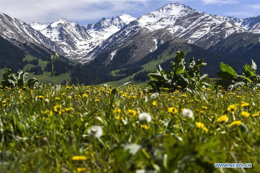 CHINA-XINJIANG-SCENERY-TOURISM (CN)