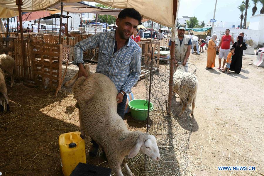 TUNISIA-TUNIS-EID AL-ADHA-LIVESTOCK MARKET 