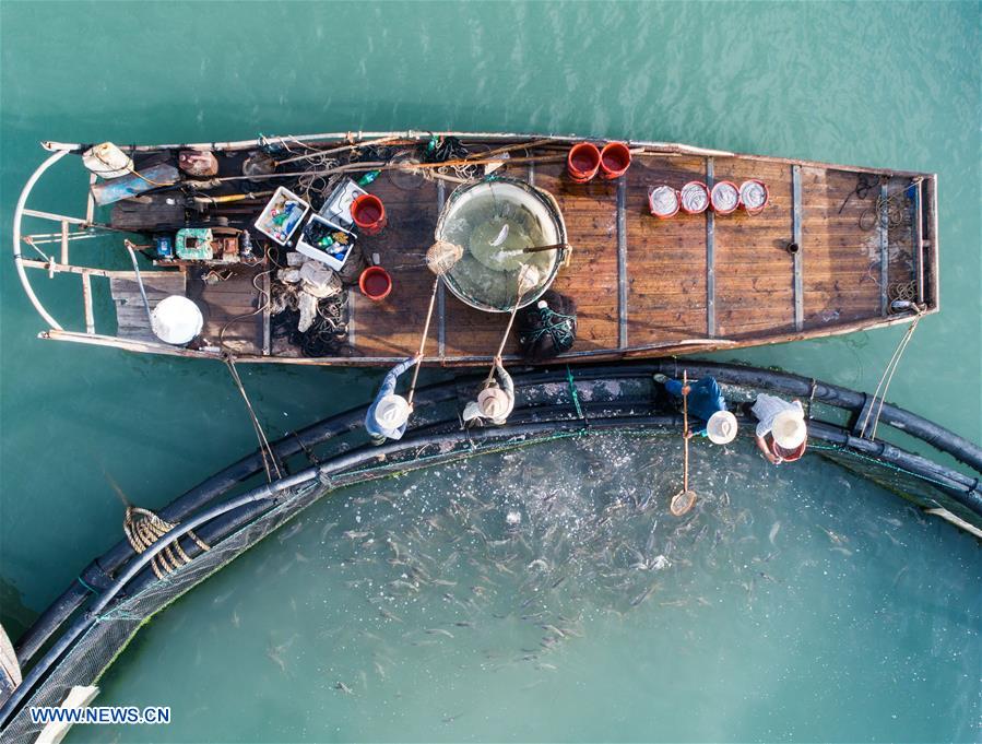 CHINA-ZHEJIANG-WENZHOU-MARICULTURE (CN)