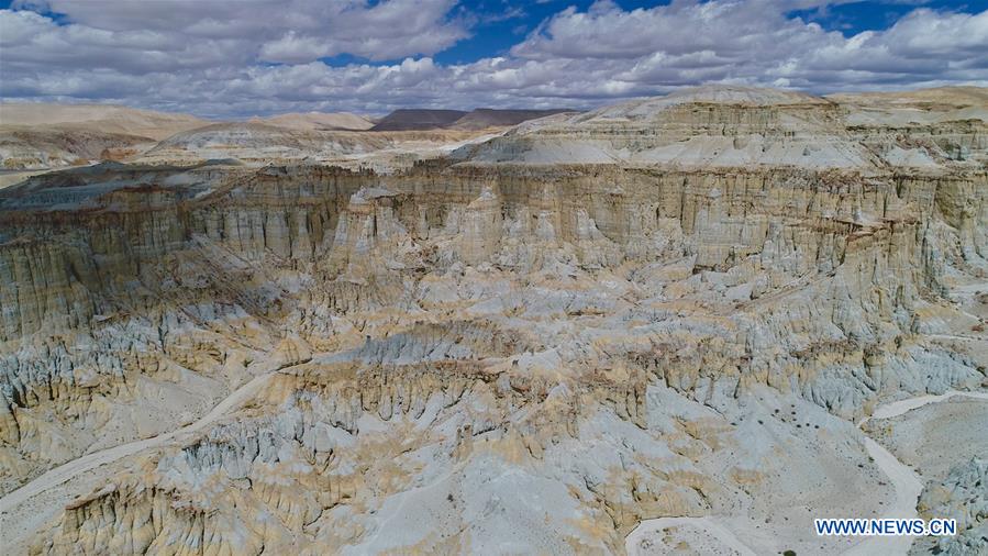 CHINA-TIBET-ALI-SCENERY-EARTH FOREST (CN)