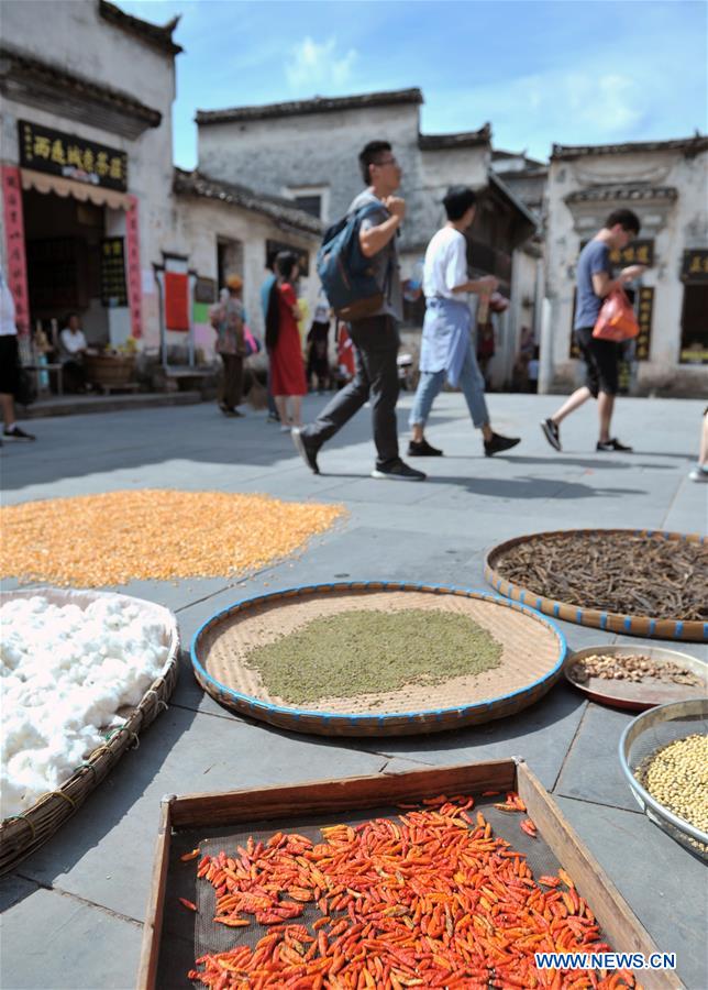 CHINA-ANHUI-YIXIAN-HARVEST (CN)