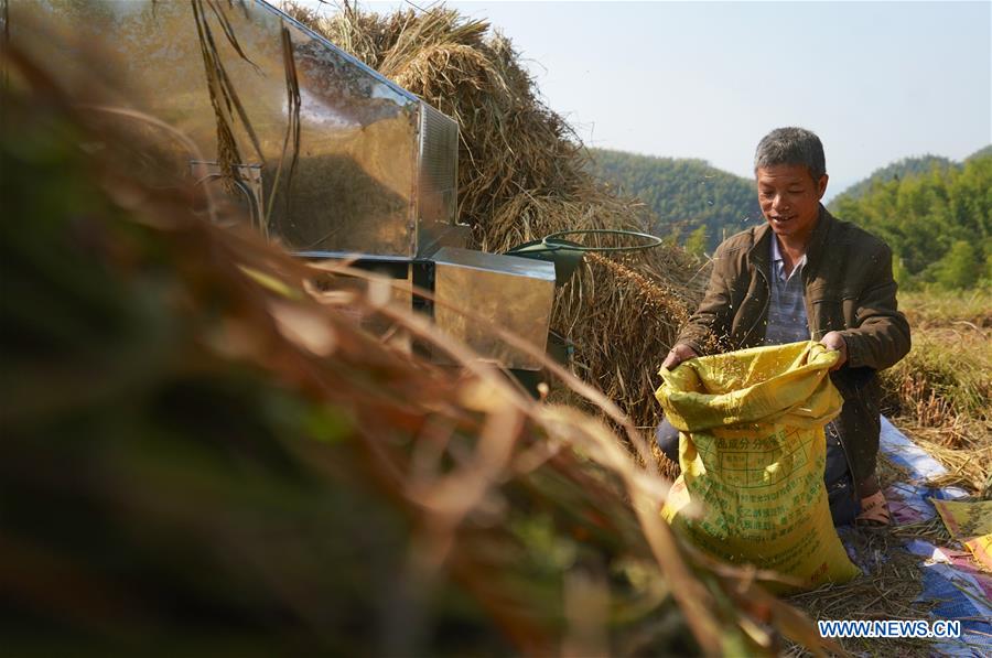 CHINA-JIANGXI-AUTUMN HARVEST(CN)