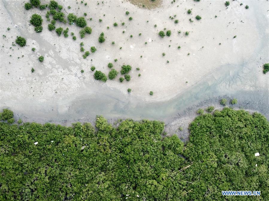 CHINA-GUANGXI-BEIHAI-MANGROVE CONSERVATION AREA(CN)