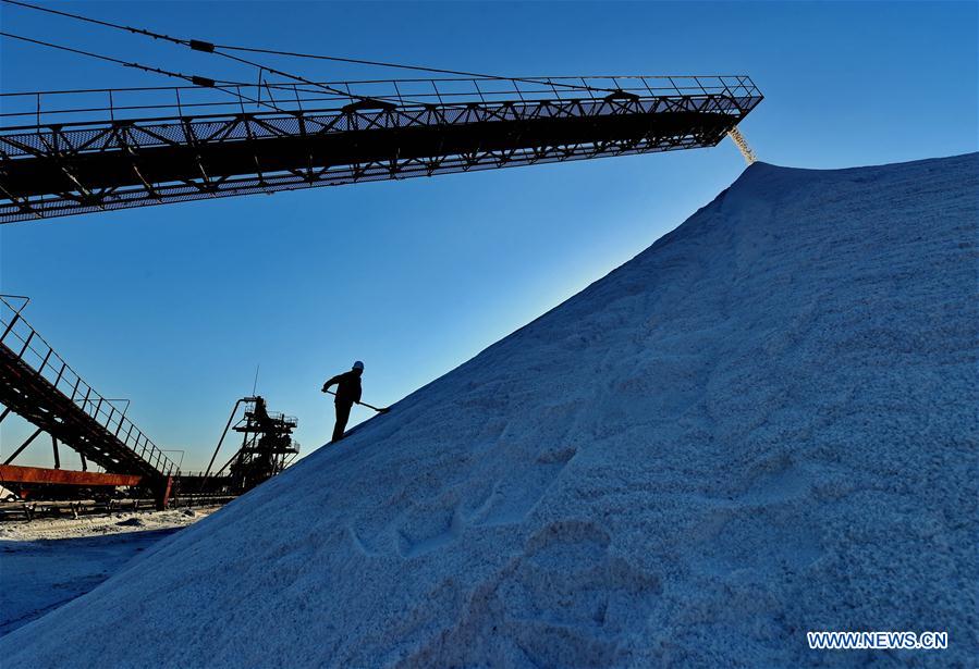 CHINA-TANGSHAN-SEA SALT-HARVEST (CN)