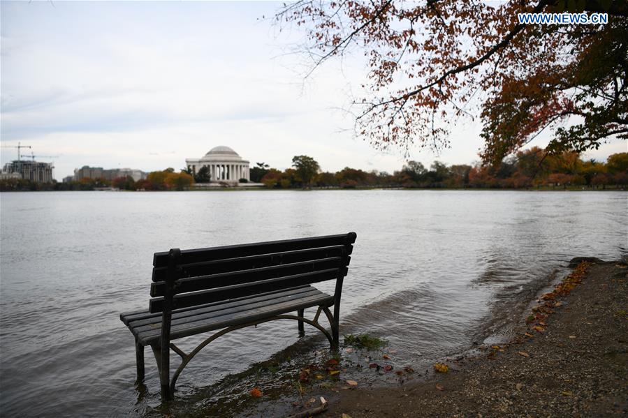 U.S.-WASHINGTON D.C.-TIDAL BASIN-AUTUMN