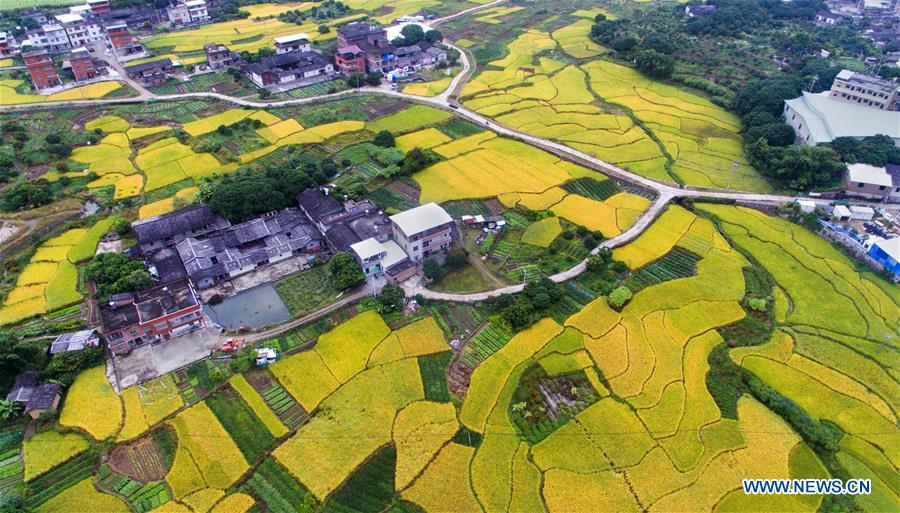 #CHINA-FUJIAN-YONGCHUN-ANCIENT TOWN (CN)