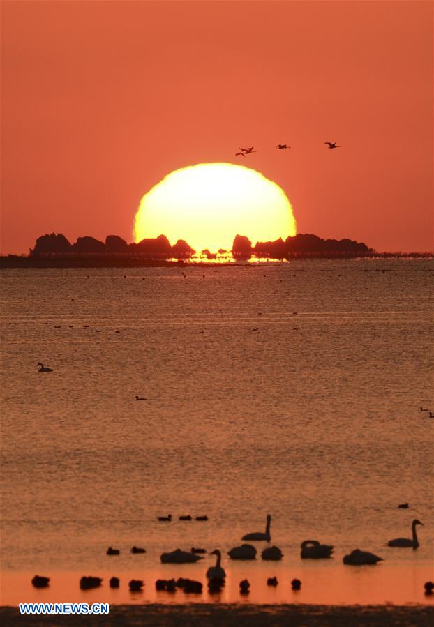 #CHINA-SHANDONG-RONGCHENG-SWAN LAKE (CN) 