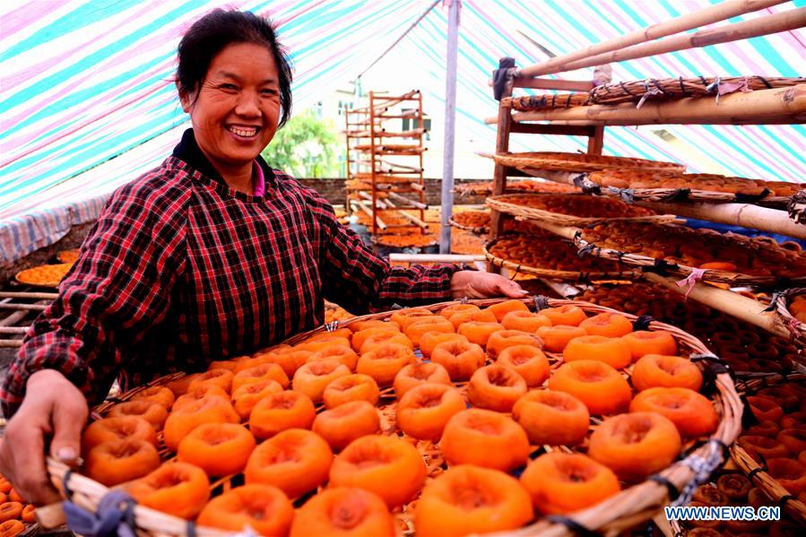 #CHINA-GUANGXI-PINGLE-PERSIMMON HARVEST (CN) 