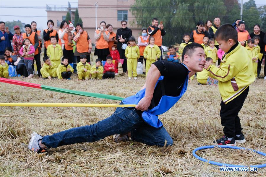 CHINA-ZHEJIANG-CHANGXING-RICE FIELD-RECREATION (CN)