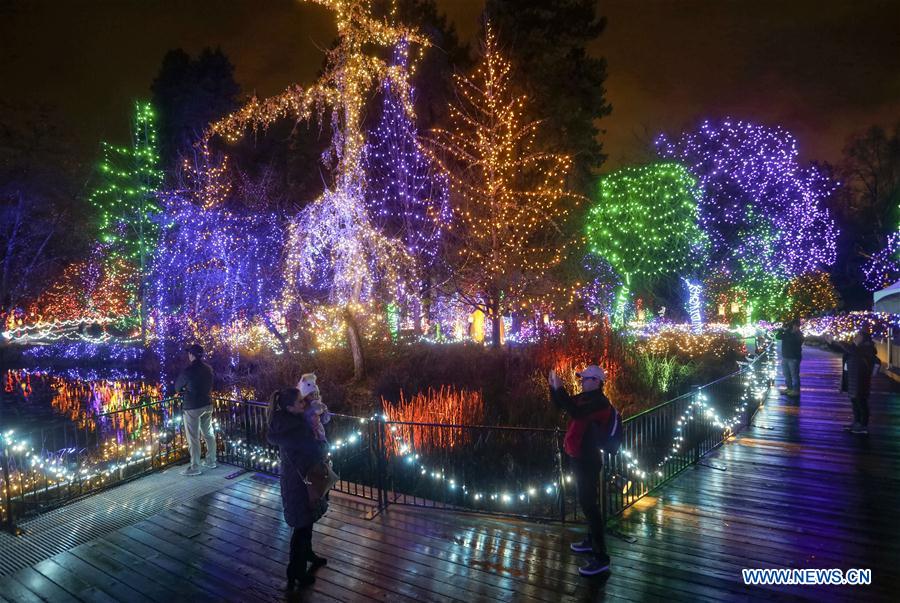 CANADA-VANCOUVER-CHRISTMAS LIGHTS