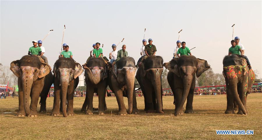 NEPAL-CHITWAN-ELEPHANT FESTIVAL