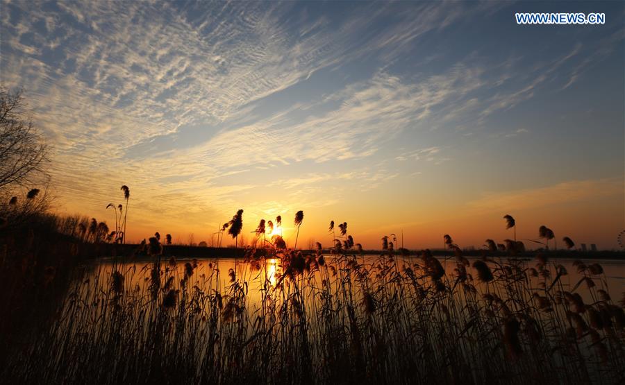 #CHINA-SHANDONG-LINYI-SUNSET (CN)