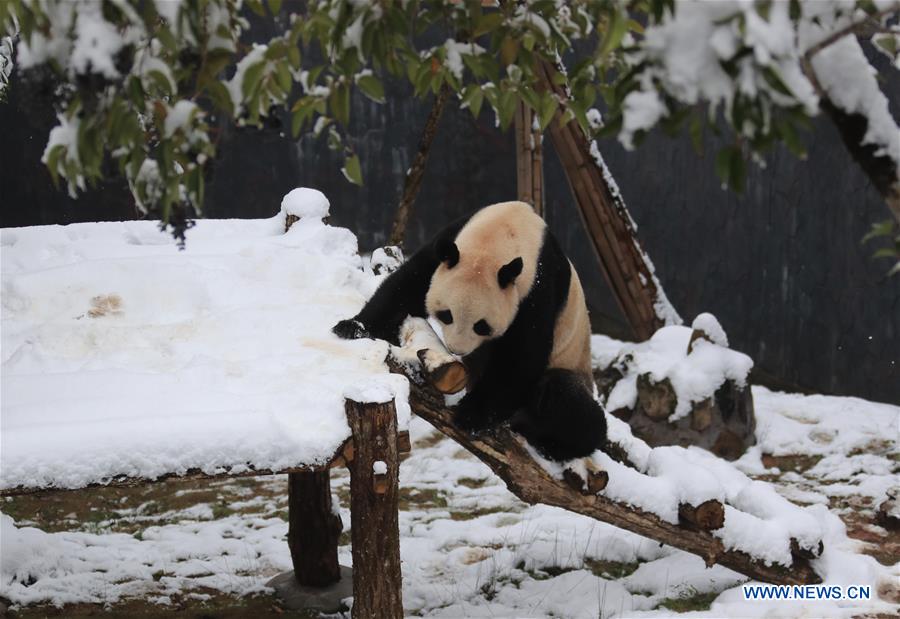 #CHINA-SNOW SCENERY (CN)