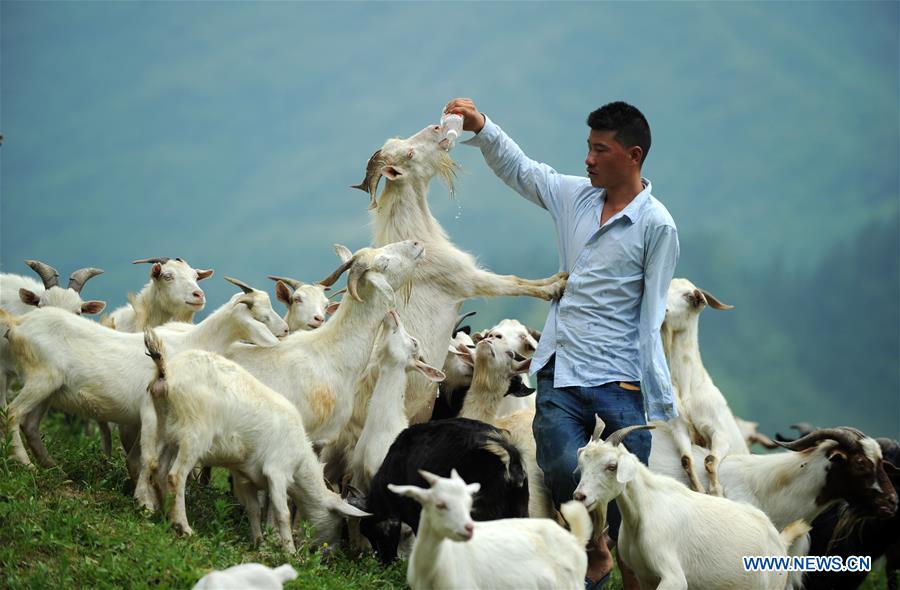 XINHUA-PICTURES OF THE YEAR 2018