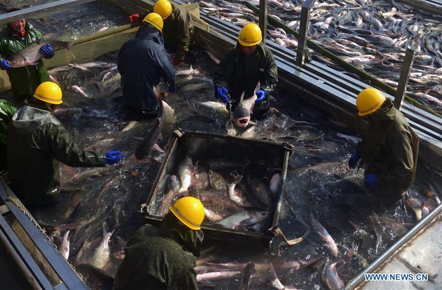 #CHINA-ANHUI-FISHING (CN)