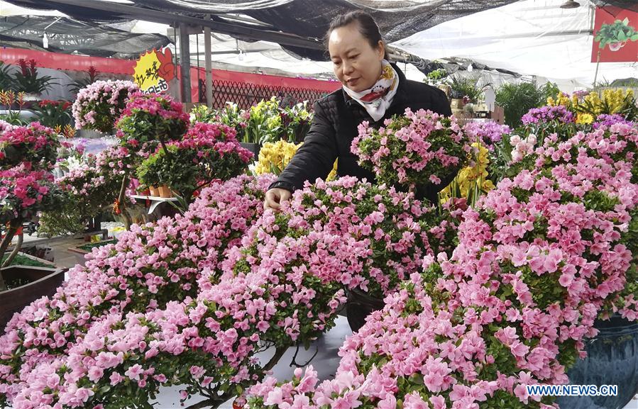 #CHINA-HEBEI-FLOWER MARKET (CN)