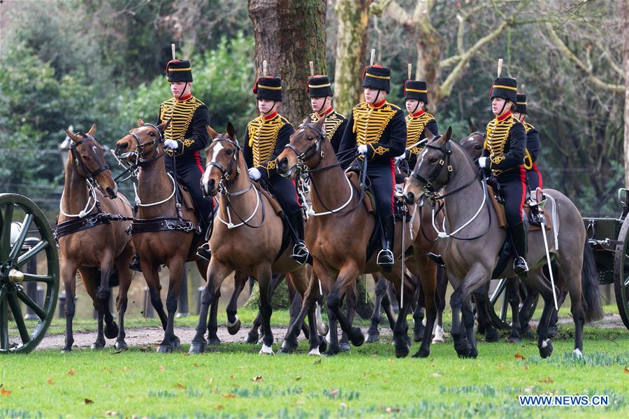 BRITAIN-LONDON-ACCESSION DAY-QUEEN ELIZABETH II-ROYAL GUN SALUTES