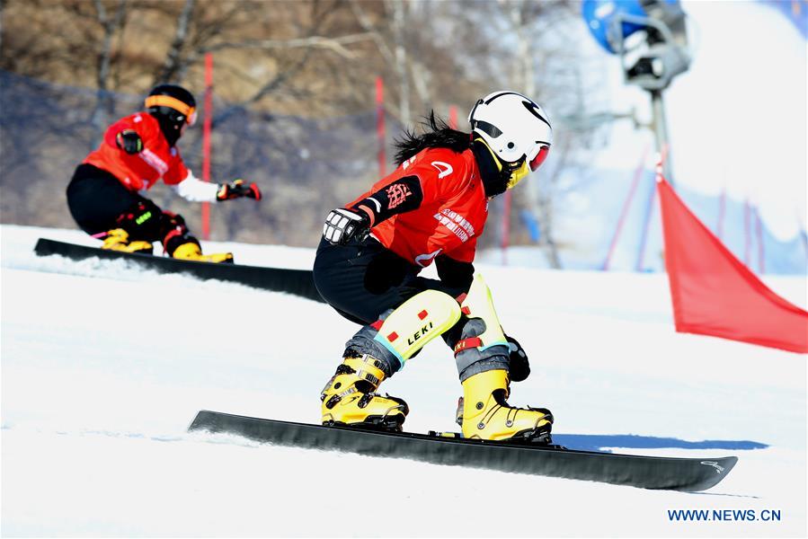 (SP)CHINA-ZHANGJIAKOU-SNOWBOARD-ASIAN CUP(CN)