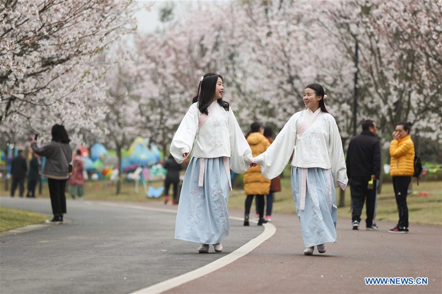 CHINA-MEISHAN-CHERRY BLOSSOMS (CN)