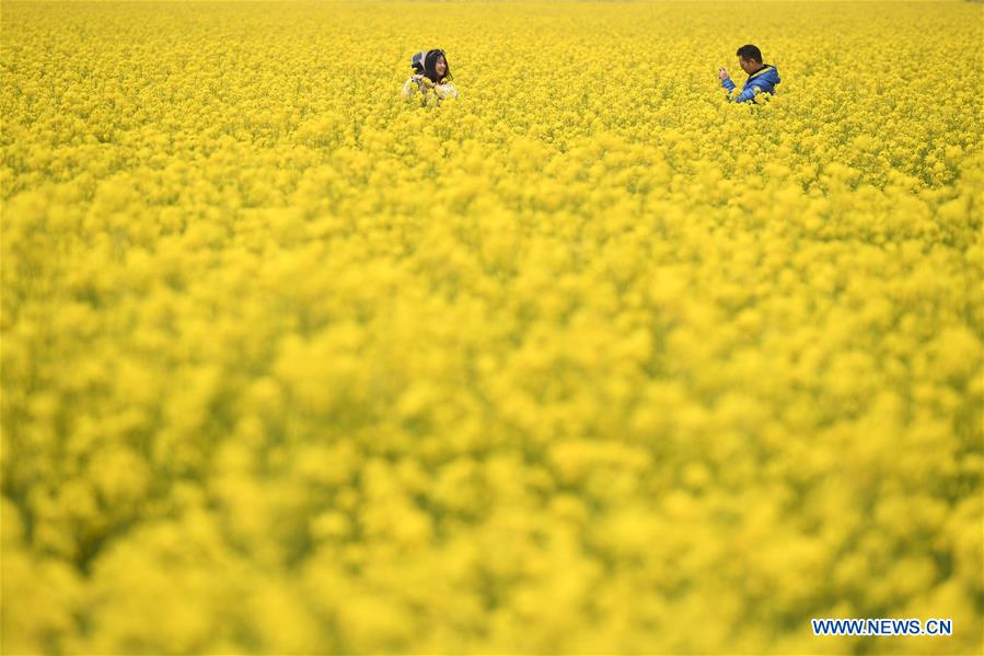 CHINA-SPRING-SCENERY (CN)