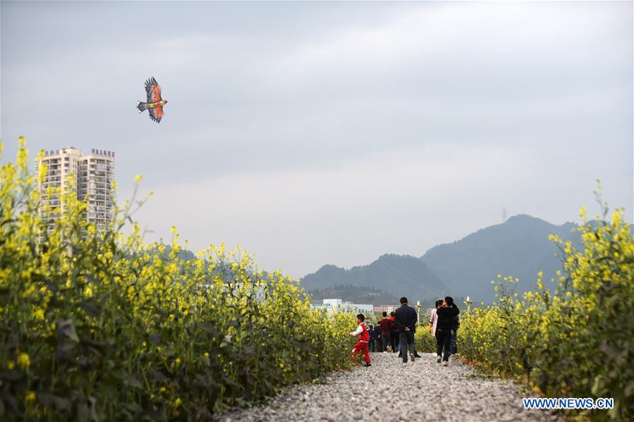 CHINA-GUIZHOU-SPRING SCENERY (CN)