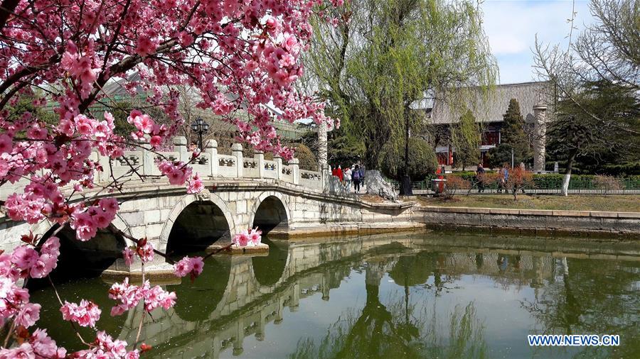 (Beijingcandid)CHINA-BEIJING-SPRING (CN)