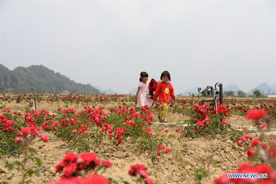 CHINA-YUNNAN-PUZHEHEI NATIONAL WETLAND PARK (CN)