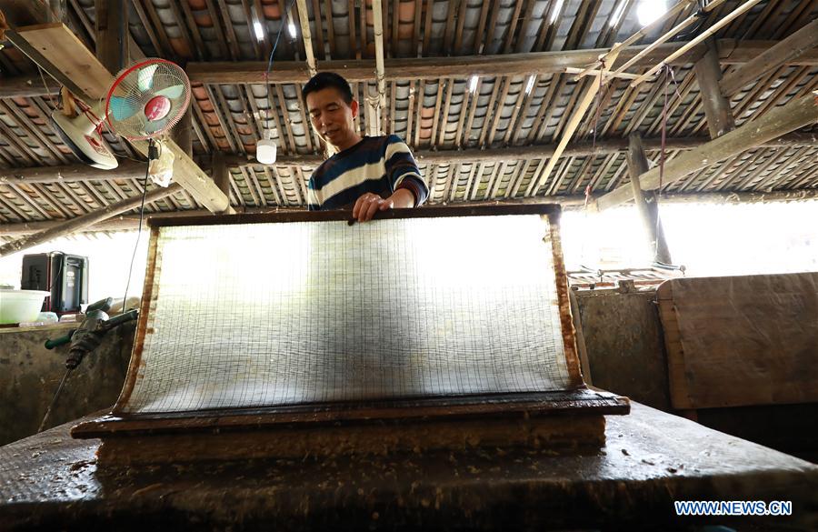 #CHINA-GUIZHOU-TRADITIONAL PAPERMAKING (CN)