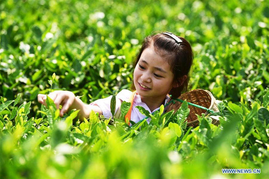 CHINA-CHONGQING-CHILDREN-TEA (CN)