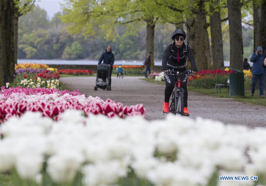 SWITZERLAND-MORGES-TULIP FESTIVAL